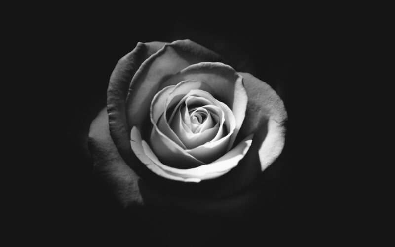 Galcorr lamenta falecimento de Bruno Souza, superintendente de Property & Casualty / Foto: Rodion Kutsaiev / Unsplash Images
