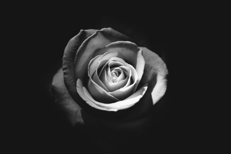 Galcorr lamenta falecimento de Bruno Souza, superintendente de Property & Casualty / Foto: Rodion Kutsaiev / Unsplash Images