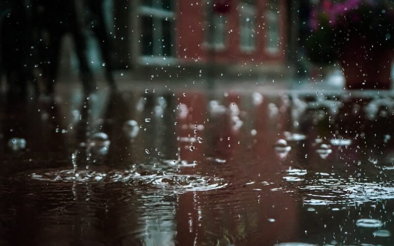 Foto: Vlad Chețan / Pexels