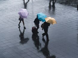 Foto: Ryoji Iwata / Unsplash