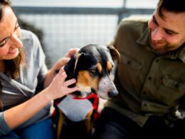 Foto: Chewy / Unsplash