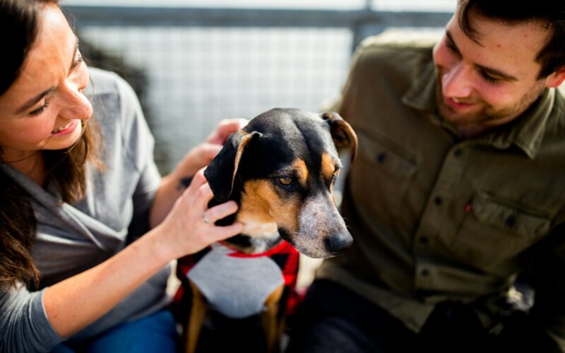 Foto: Chewy / Unsplash