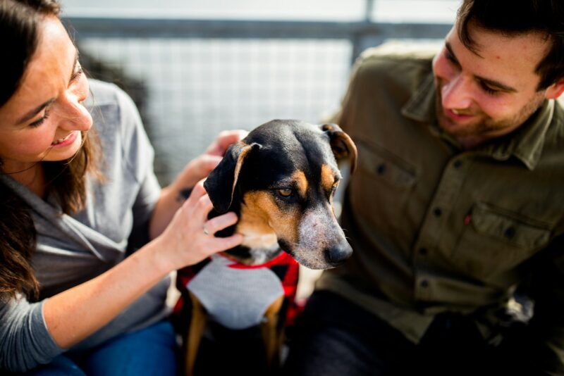 Foto: Chewy / Unsplash
