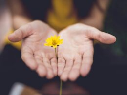 Foto: Lina Trochez / Unsplash