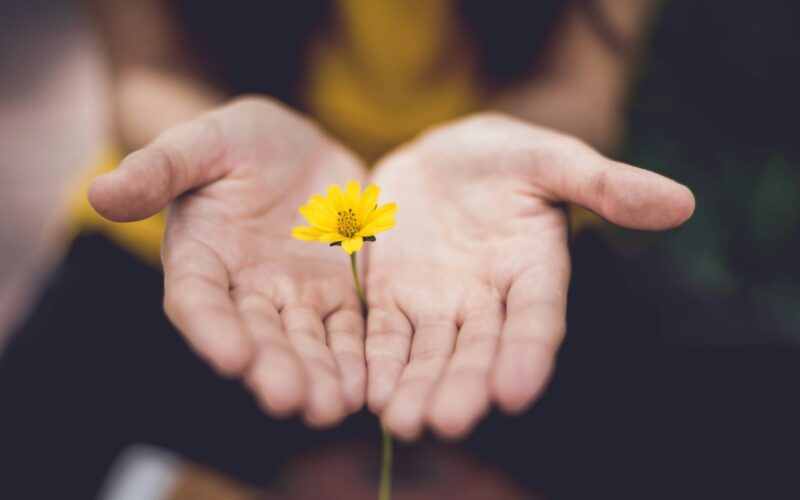 Foto: Lina Trochez / Unsplash