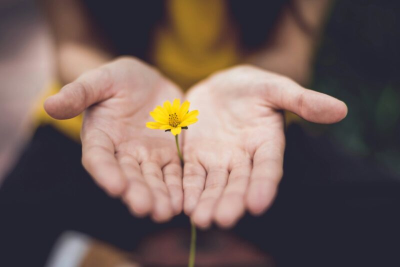 Foto: Lina Trochez / Unsplash