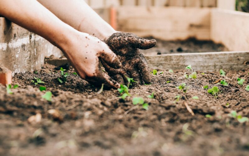 Foto: Sandie Clarke / Unsplash