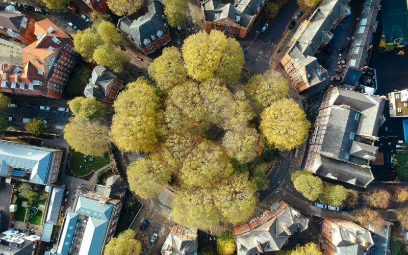 Foto: Robert Bye / Unsplash