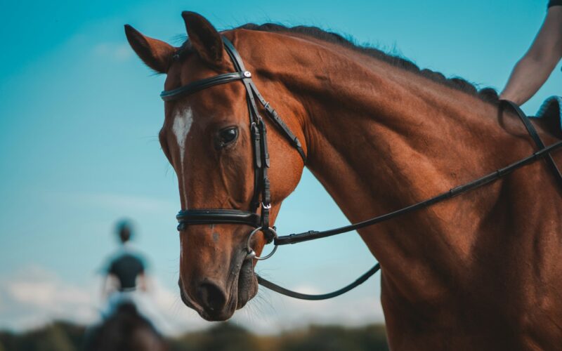 Foto: Mateusz Zatorski / Unsplash