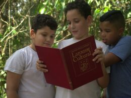 Fundación MAPFRE e Vivenda da Criança se unem em projeto que promove o ensino infantil em Parelheiros / Foto: Divulgação
