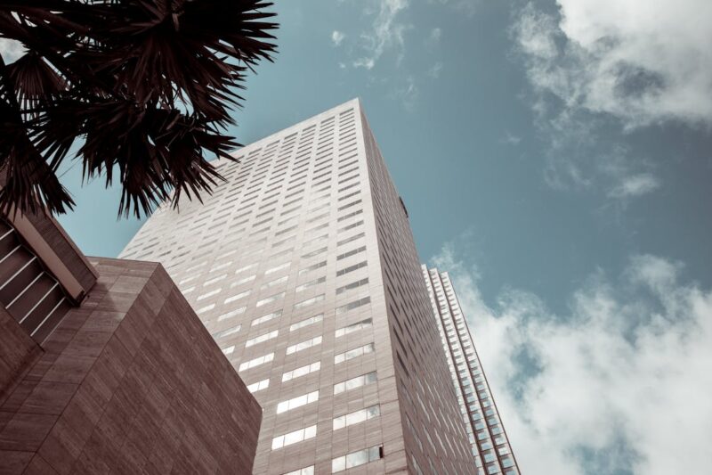 Fintech Americas abre inscrições para o Insure Americas 2025 / Foto: Jacoby Clarke / Pexels
