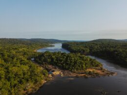 Mercado de carbono comemora fase de consolidação e previsão de retomada do crescimento a partir de 2025, aponta relatório da Systemica / Foto: Divulgação