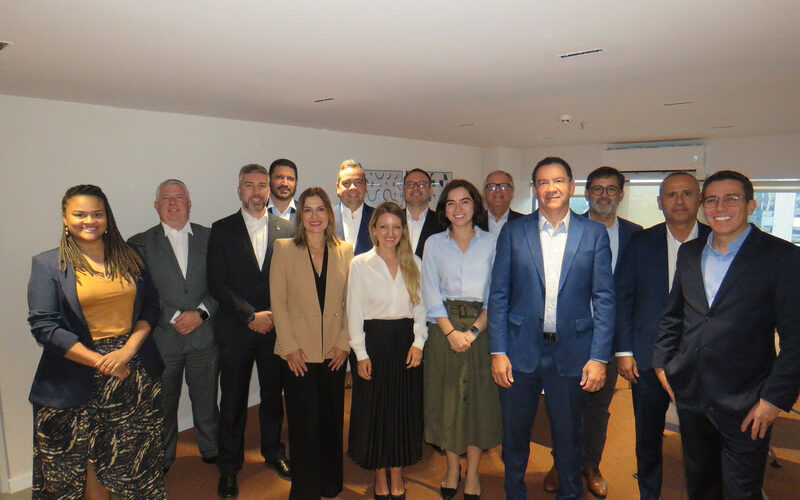 CNseg apresenta estratégia para 2025 a presidentes dos Sindicatos das Seguradoras / Foto: CNseg / Divulgação