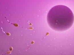 Endometriose e fertilidade: por que o congelamento de óvulos pode ser uma opção importante / Foto: Video Media Art / Unsplash