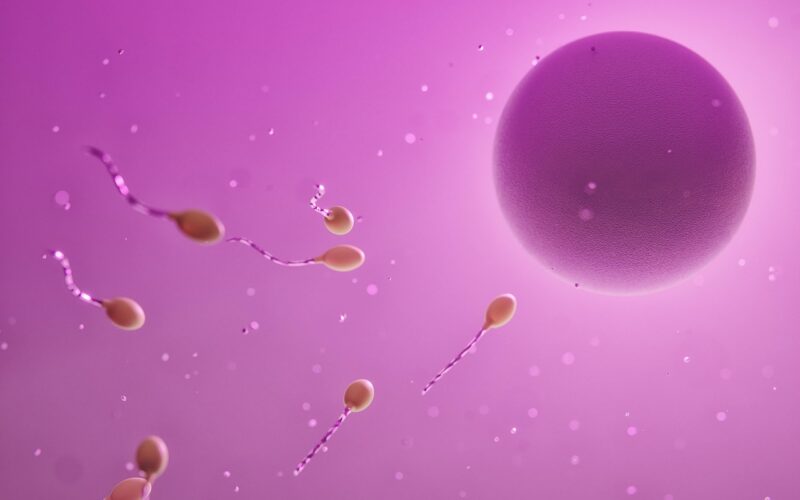 Endometriose e fertilidade: por que o congelamento de óvulos pode ser uma opção importante / Foto: Video Media Art / Unsplash