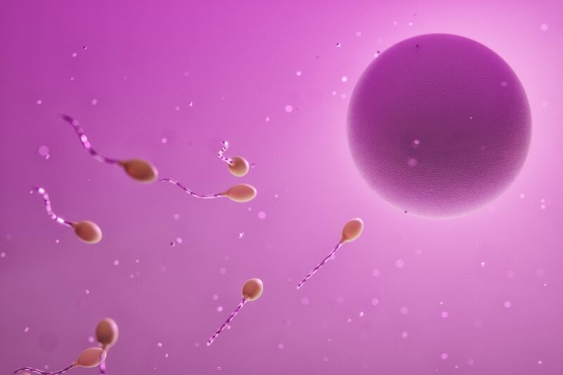 Endometriose e fertilidade: por que o congelamento de óvulos pode ser uma opção importante / Foto: Video Media Art / Unsplash