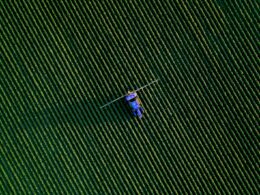 O setor segurador planta saúde financeira no campo (saiba como) / Foto: Marios Gkortsilas / Unsplash