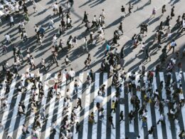 Vítimas do trânsito e do descaso / Foto: Ryoji Iwata / Unsplash
