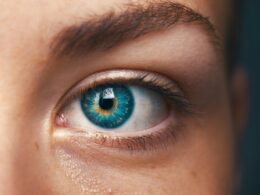 Quando a tecnologia vira arma para golpes virtuais / Foto: Amanda Dalbjörn / Unsplash