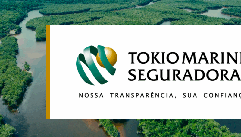 Casa do Seguro vai liderar discussões sobre papel do setor no debate sobre mudanças climáticas na COP30, avalia diretora da Tokio Marine / Divulgação