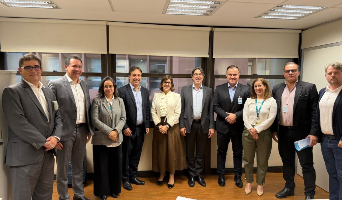 Participantes de reunião na Susep