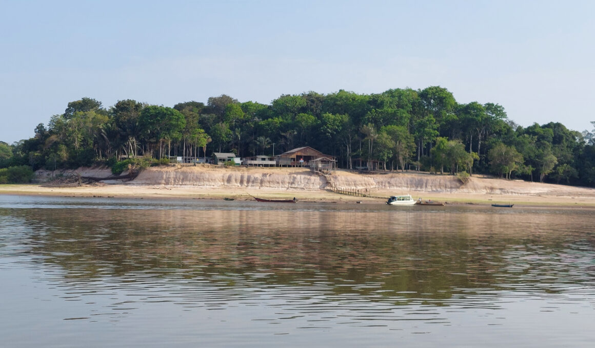 Com novos investimentos na Amazônia e ação voluntária, CNP Seguradora avança em estratégia ESG / Foto: Divulgação