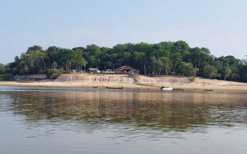 Com novos investimentos na Amazônia e ação voluntária, CNP Seguradora avança em estratégia ESG / Foto: Divulgação