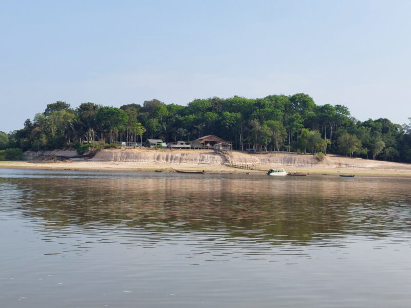 Com novos investimentos na Amazônia e ação voluntária, CNP Seguradora avança em estratégia ESG / Foto: Divulgação
