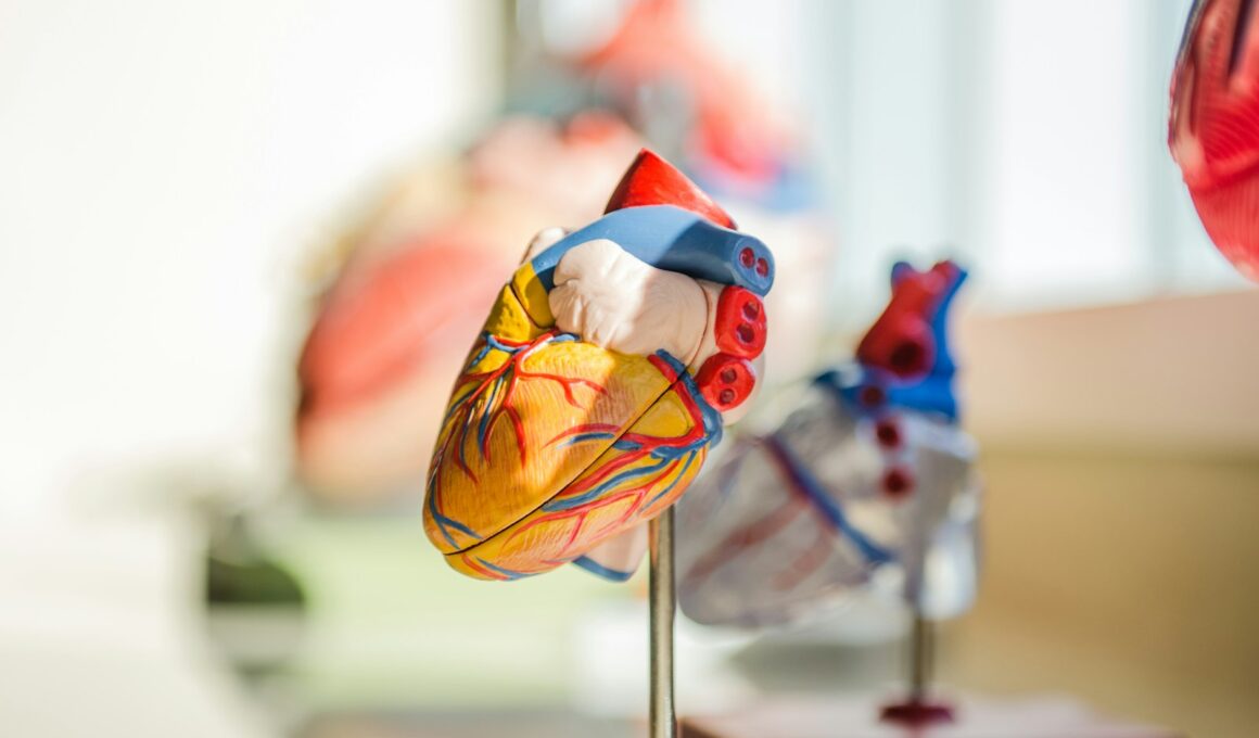 Acompanhamento médico contínuo é aliado no combate à hipertensão arterial / Foto: Jesse Orrico / Unsplash
