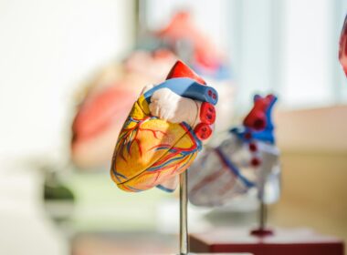 Acompanhamento médico contínuo é aliado no combate à hipertensão arterial / Foto: Jesse Orrico / Unsplash