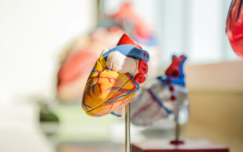 Acompanhamento médico contínuo é aliado no combate à hipertensão arterial / Foto: Jesse Orrico / Unsplash