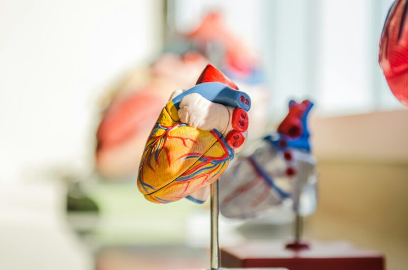 Acompanhamento médico contínuo é aliado no combate à hipertensão arterial / Foto: Jesse Orrico / Unsplash
