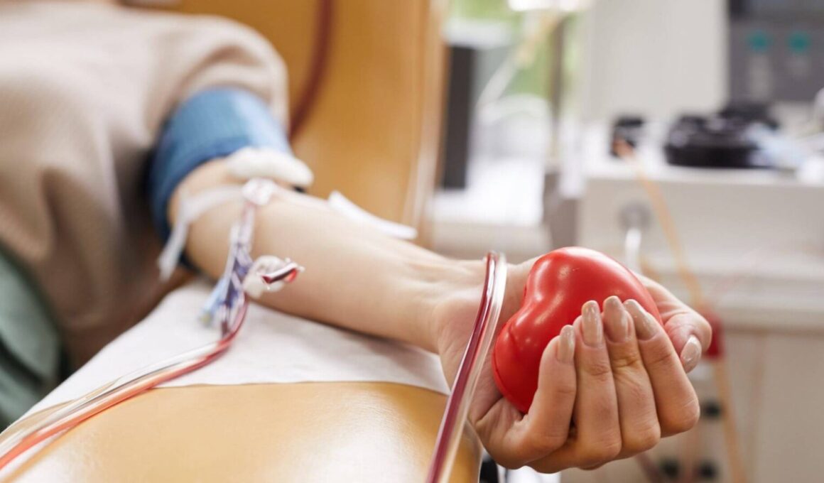 Com apenas 40 minutos, doador pode salvar até 4 vidas Crédito: ShutterStock