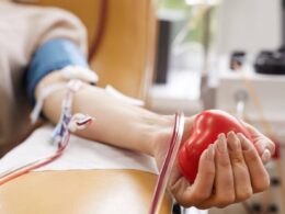 Com apenas 40 minutos, doador pode salvar até 4 vidas Crédito: ShutterStock