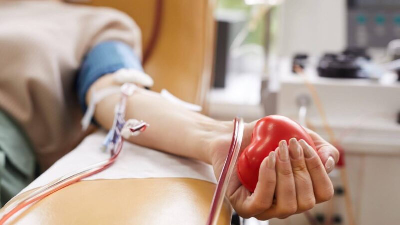 Com apenas 40 minutos, doador pode salvar até 4 vidas Crédito: ShutterStock