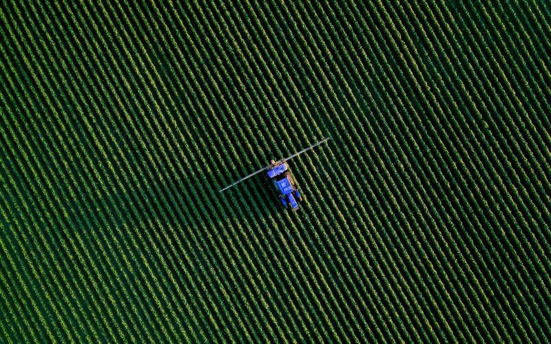 a group of people flying kites in the sky