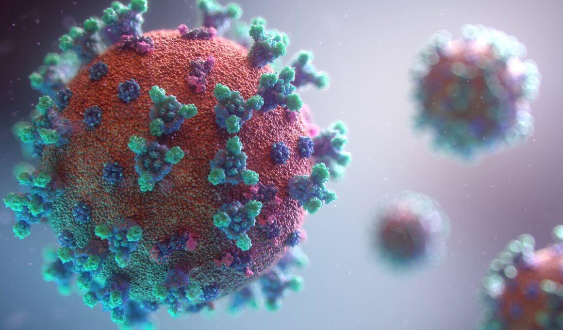 Foto por: Fusion Medical Animation/ Unsplash Images