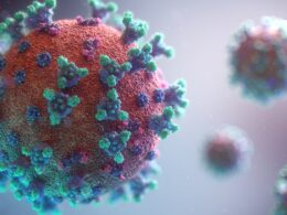 Foto por: Fusion Medical Animation/ Unsplash Images