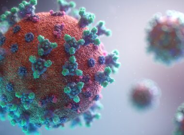 Foto por: Fusion Medical Animation/ Unsplash Images