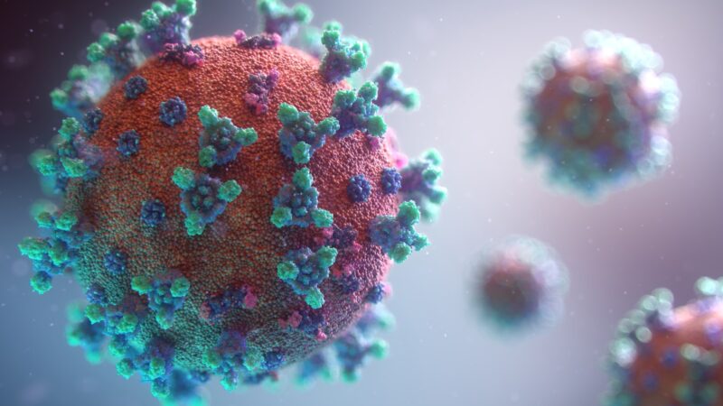 Foto por: Fusion Medical Animation/ Unsplash Images