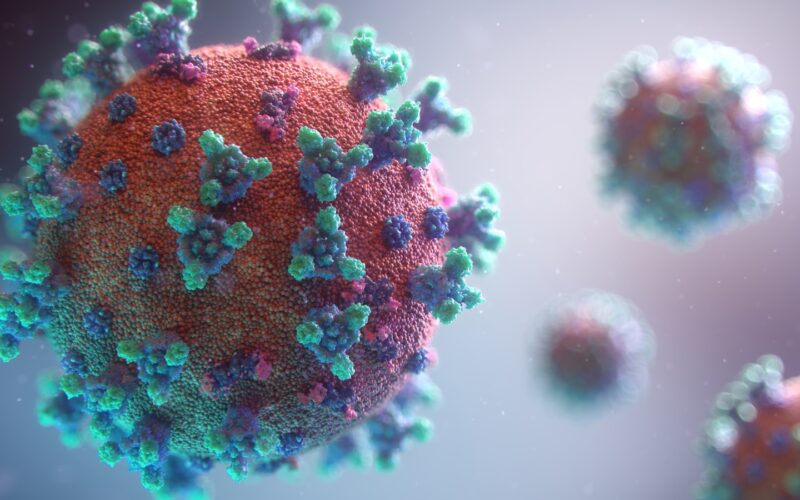 Foto por: Fusion Medical Animation/ Unsplash Images