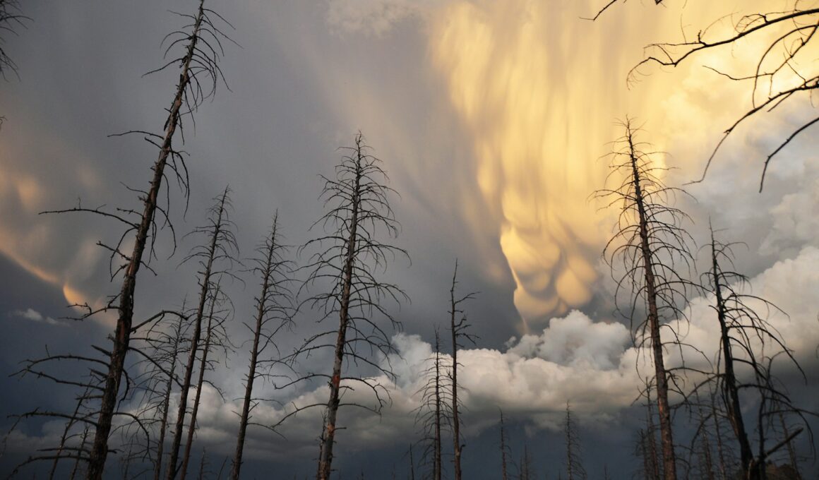 Foto por: NOAA/ Unsplash Images