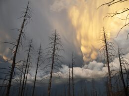 Foto por: NOAA/ Unsplash Images
