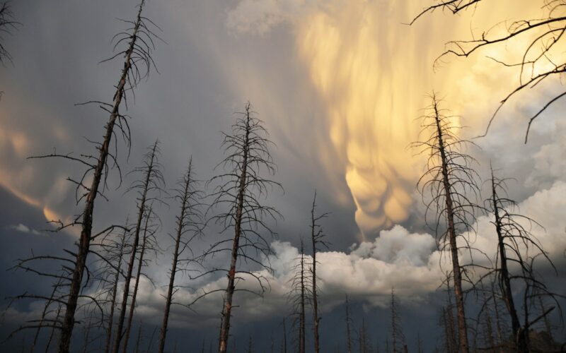 Foto por: NOAA/ Unsplash Images