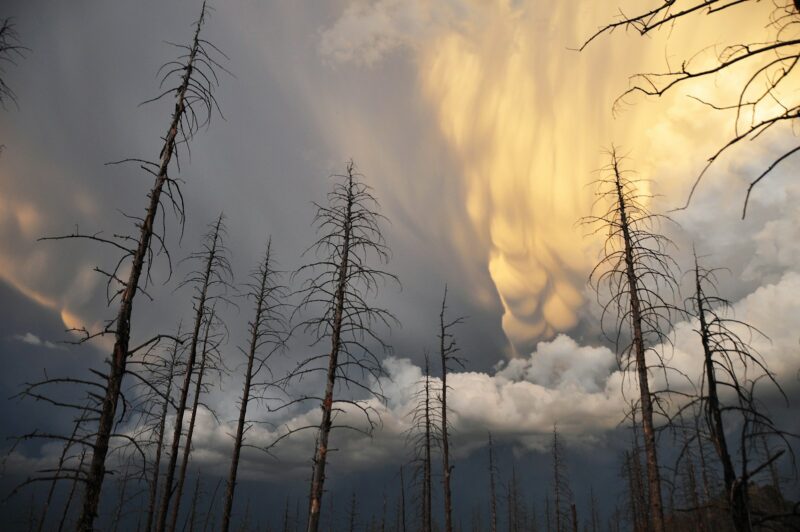 Foto por: NOAA/ Unsplash Images