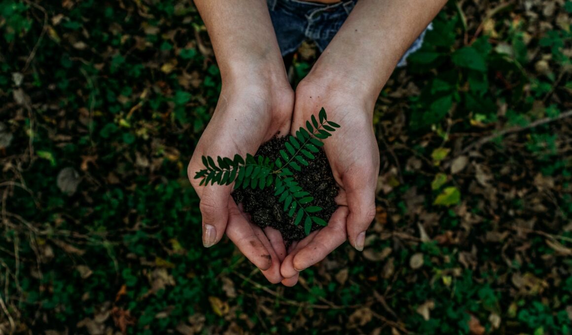 Foto por: Noah Buscher/ Unsplash Images