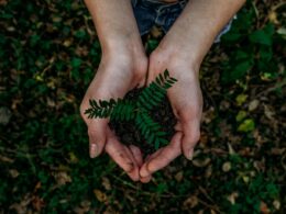 Foto por: Noah Buscher/ Unsplash Images