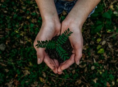 Foto por: Noah Buscher/ Unsplash Images