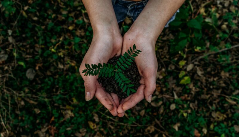 Foto por: Noah Buscher/ Unsplash Images