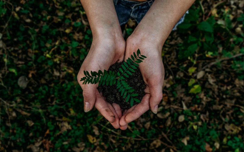 Foto por: Noah Buscher/ Unsplash Images